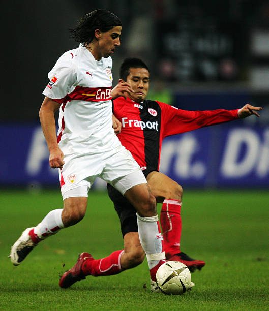 他们利用哈 他们利用哈