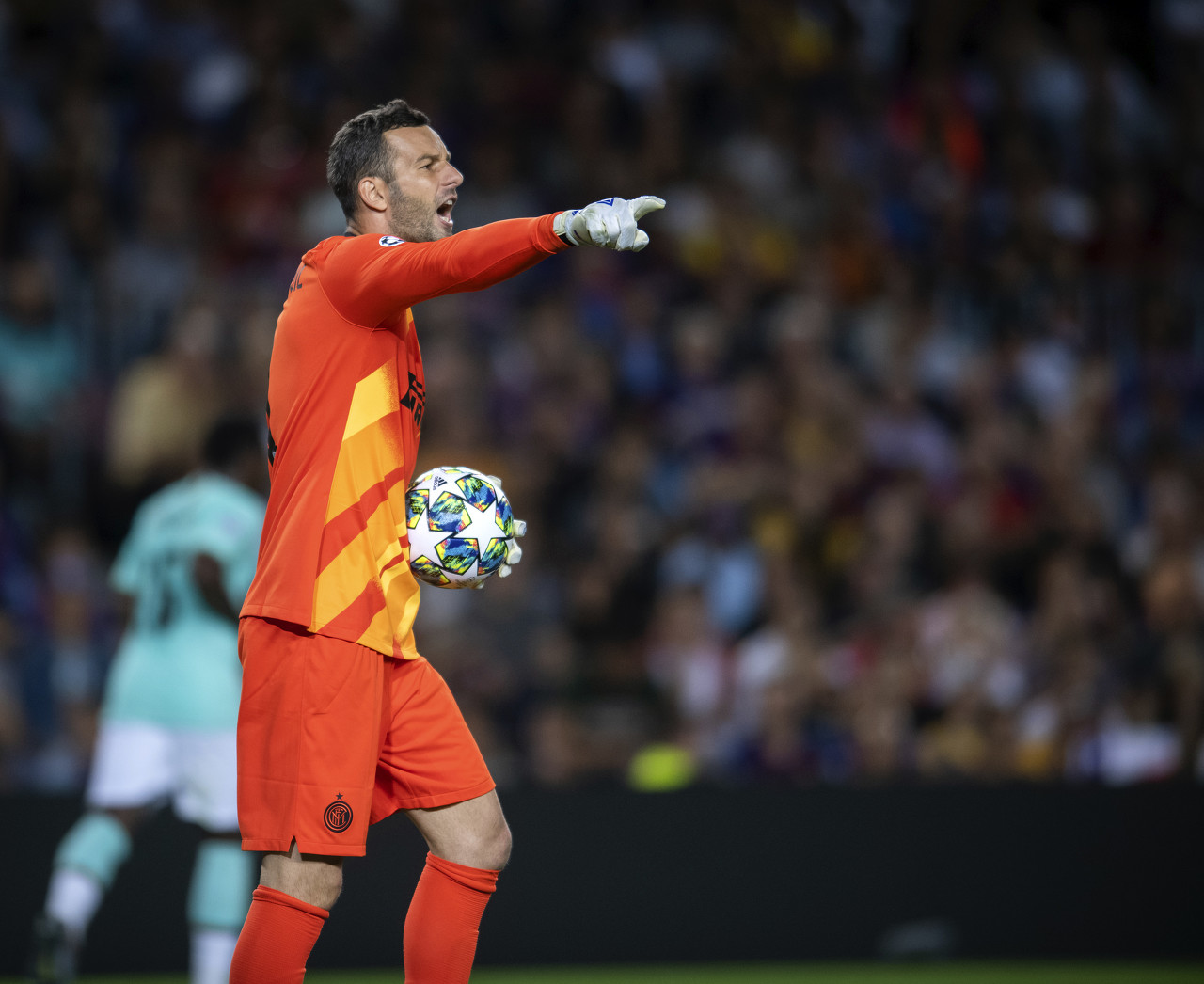 韦伯等国王 韦伯等国王